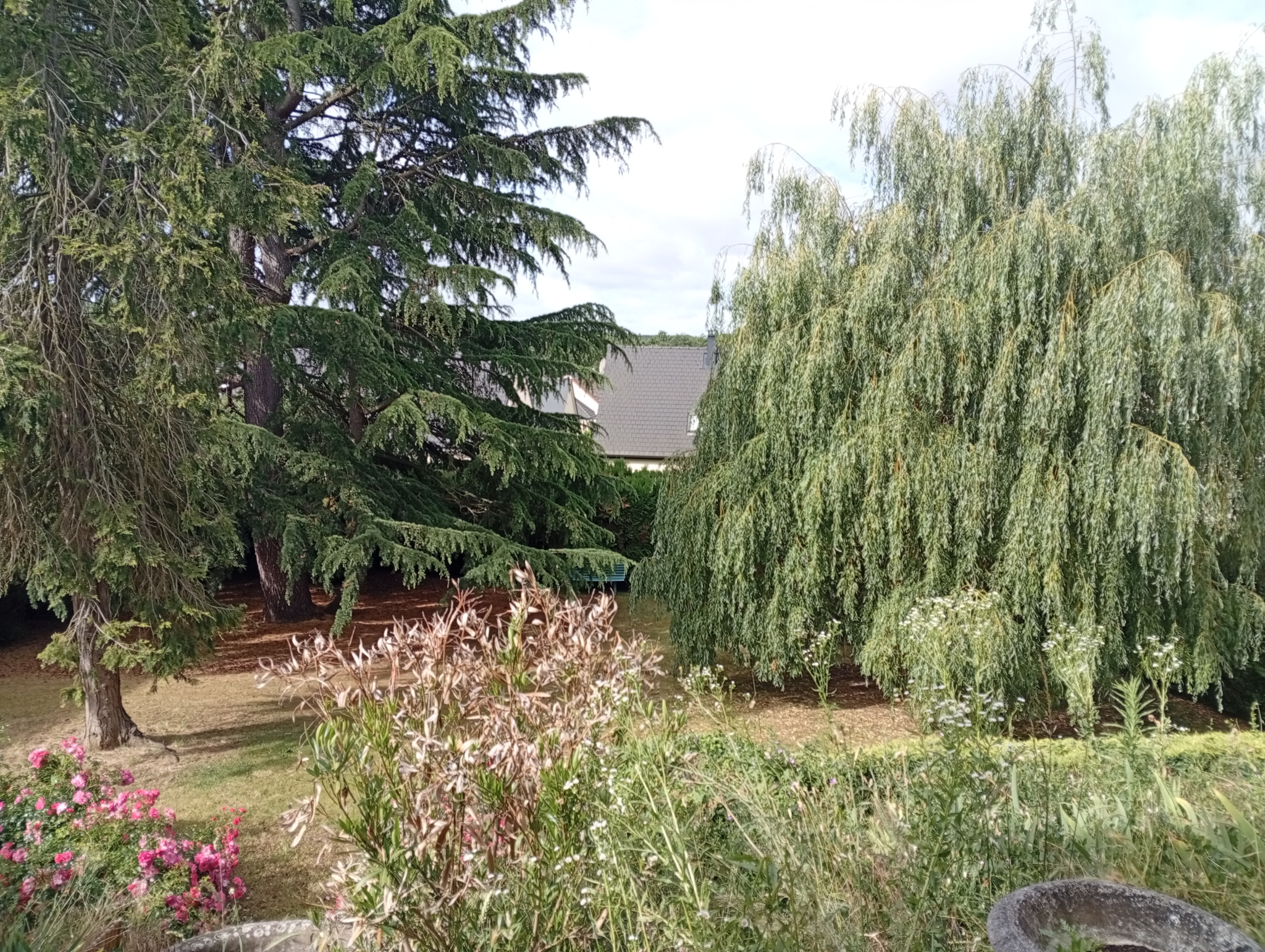 Troisième photo